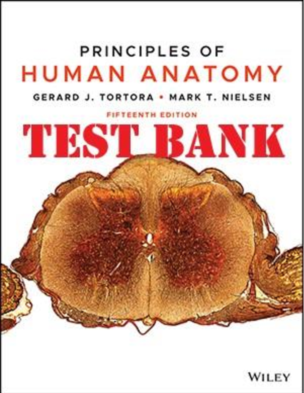 TEST BANK for Principles of Human Anatomy, 15th Edition by Gerard Tortora, Mark Nielsen | All Chapters 1-27